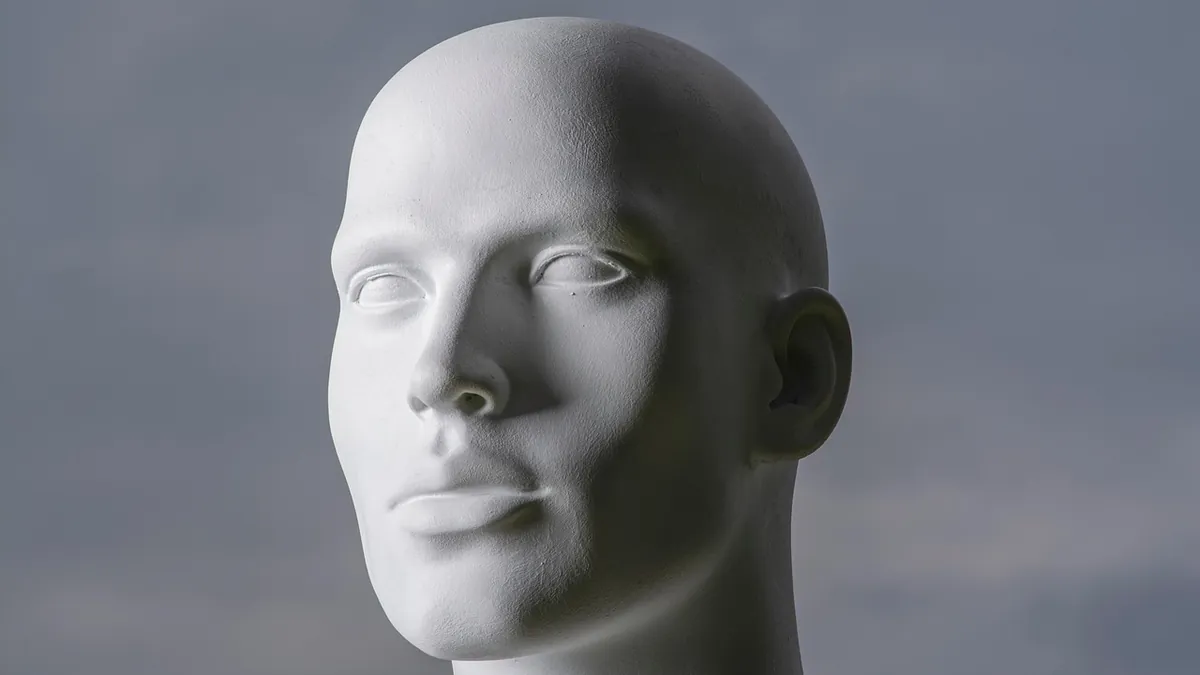 Baş-boyun bölgesinin anatomik modeli
