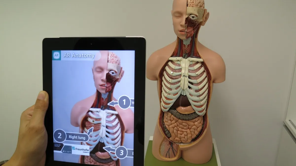 İlk değerlendirmede anatomik inceleme
