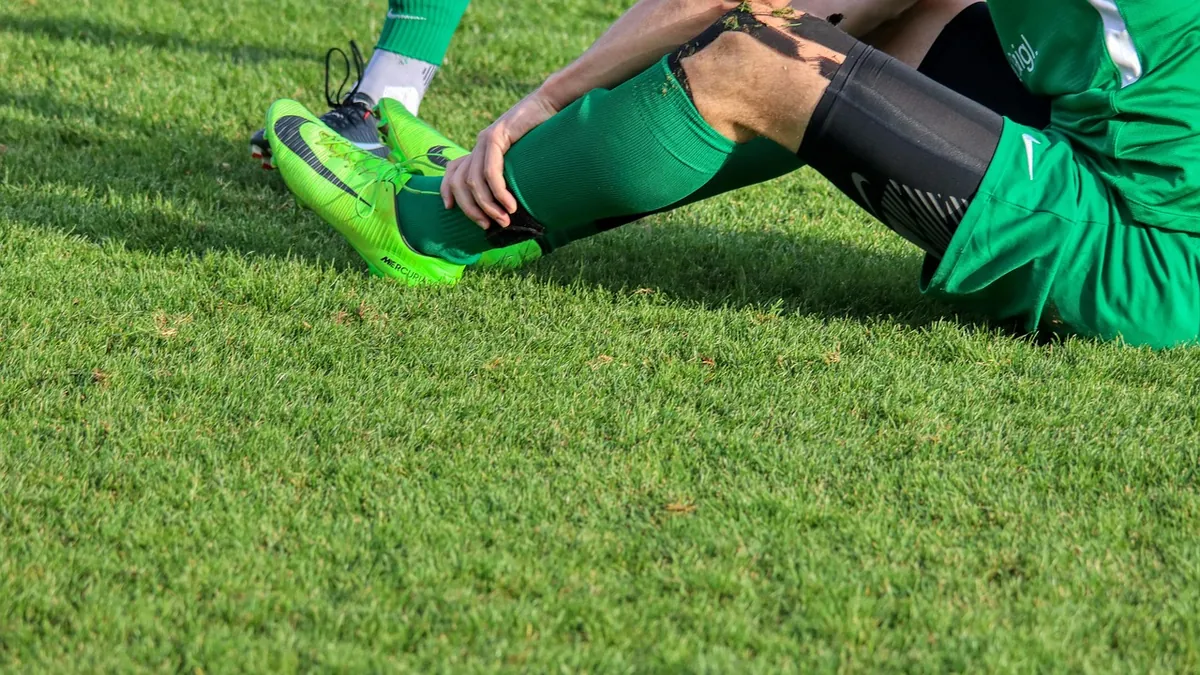 Spora dönüş öncesi saha çalışması